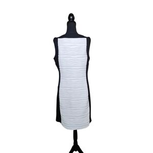 Calvin Klein Black and White Plus Size Midi Dress